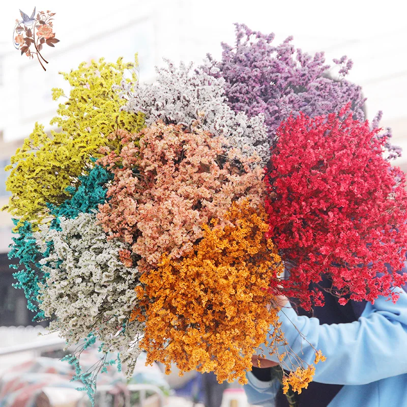 Dried Flower Bulk - Fiori secchi Bouquet di erba di