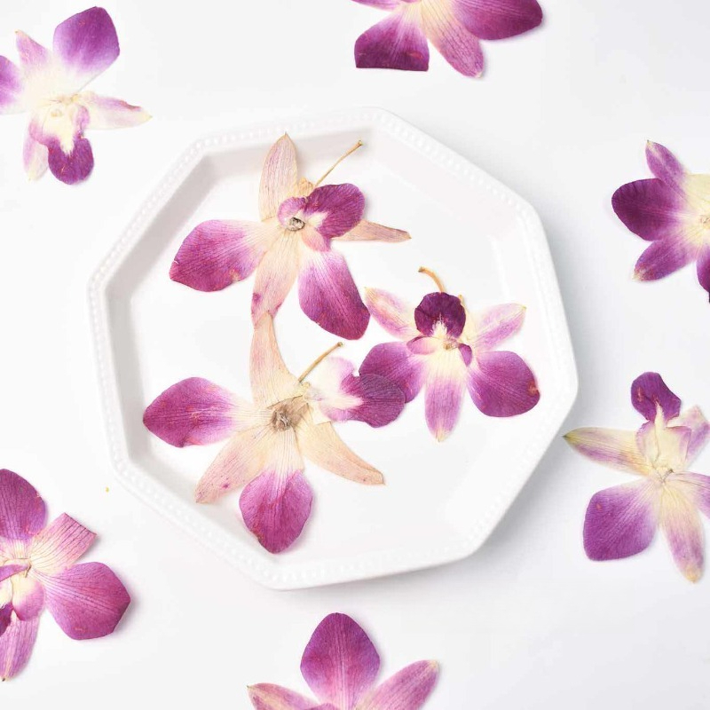 Resin Craft Ideas - 4 Pezzi, Fiori di Orchidea Farfalla