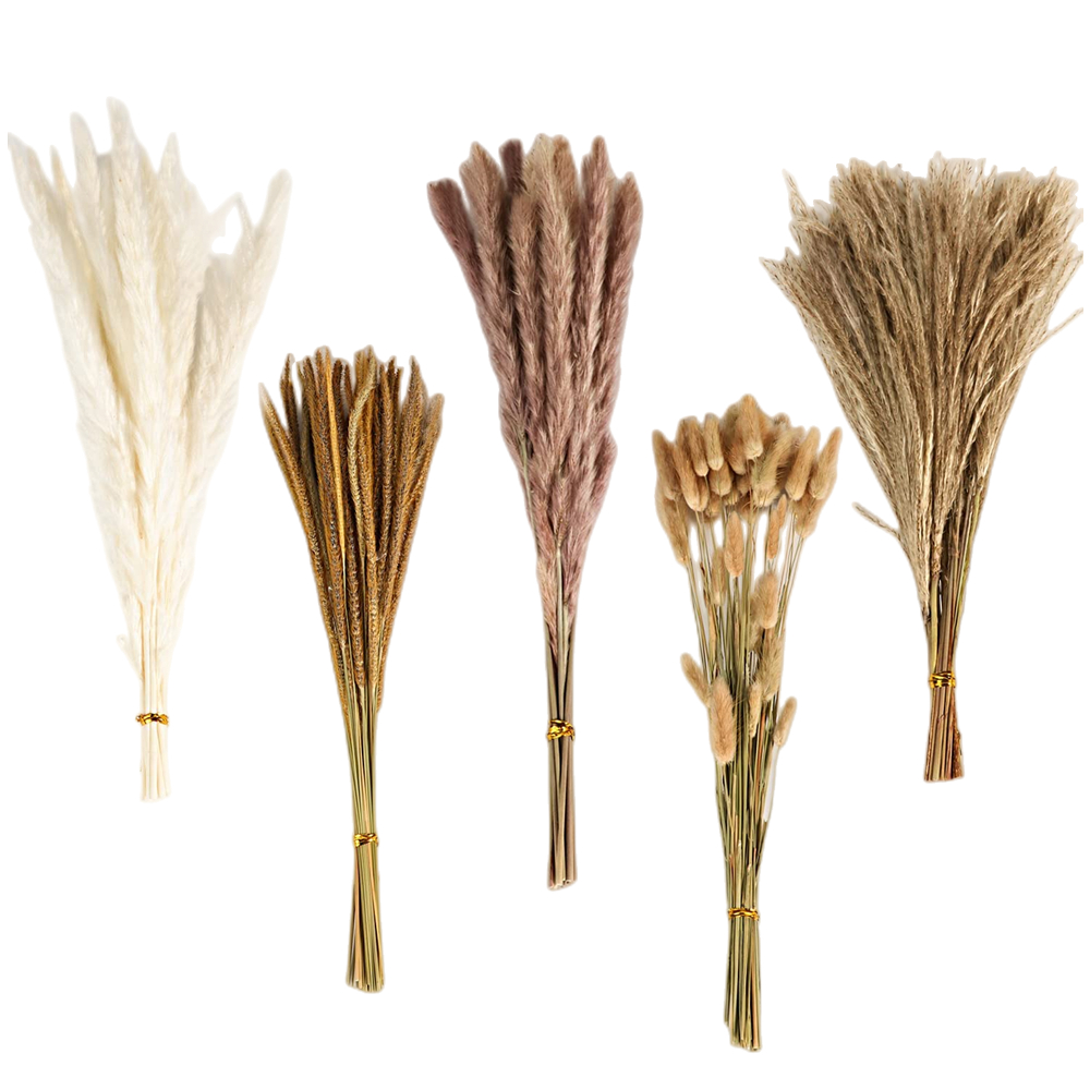 Dried Flower Bulk - Bouquet di Fiori Secchi Misti Vintage