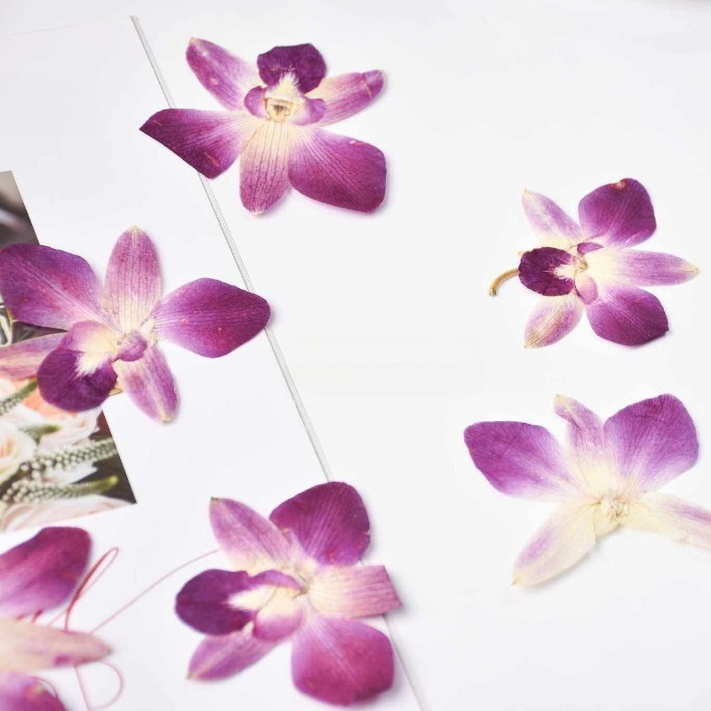 4 Pezzi, Fiori di Orchidea Far - Resin Craft Ideas recensione e prezzo