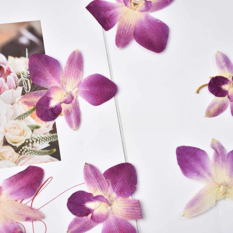 4 Pezzi, Fiori di Orchidea Far - Resin Craft Ideas recensione e prezzo