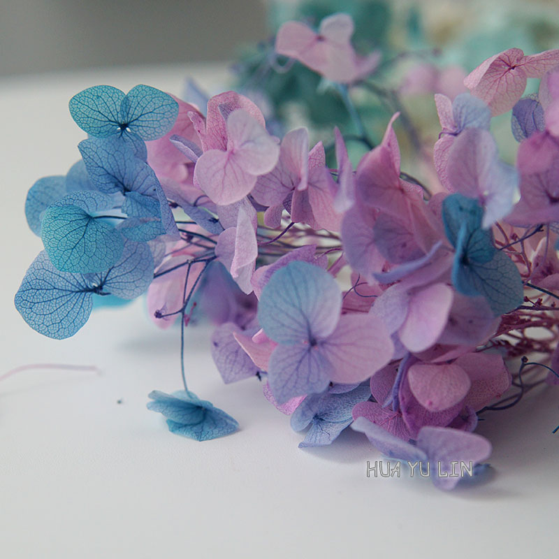 Fiori di Ortensia Essiccati e  - Dried Flower Bulk recensione e prezzo